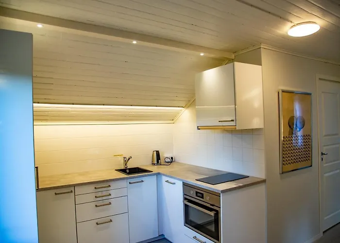 Billnaesin Ruukki Hotel *